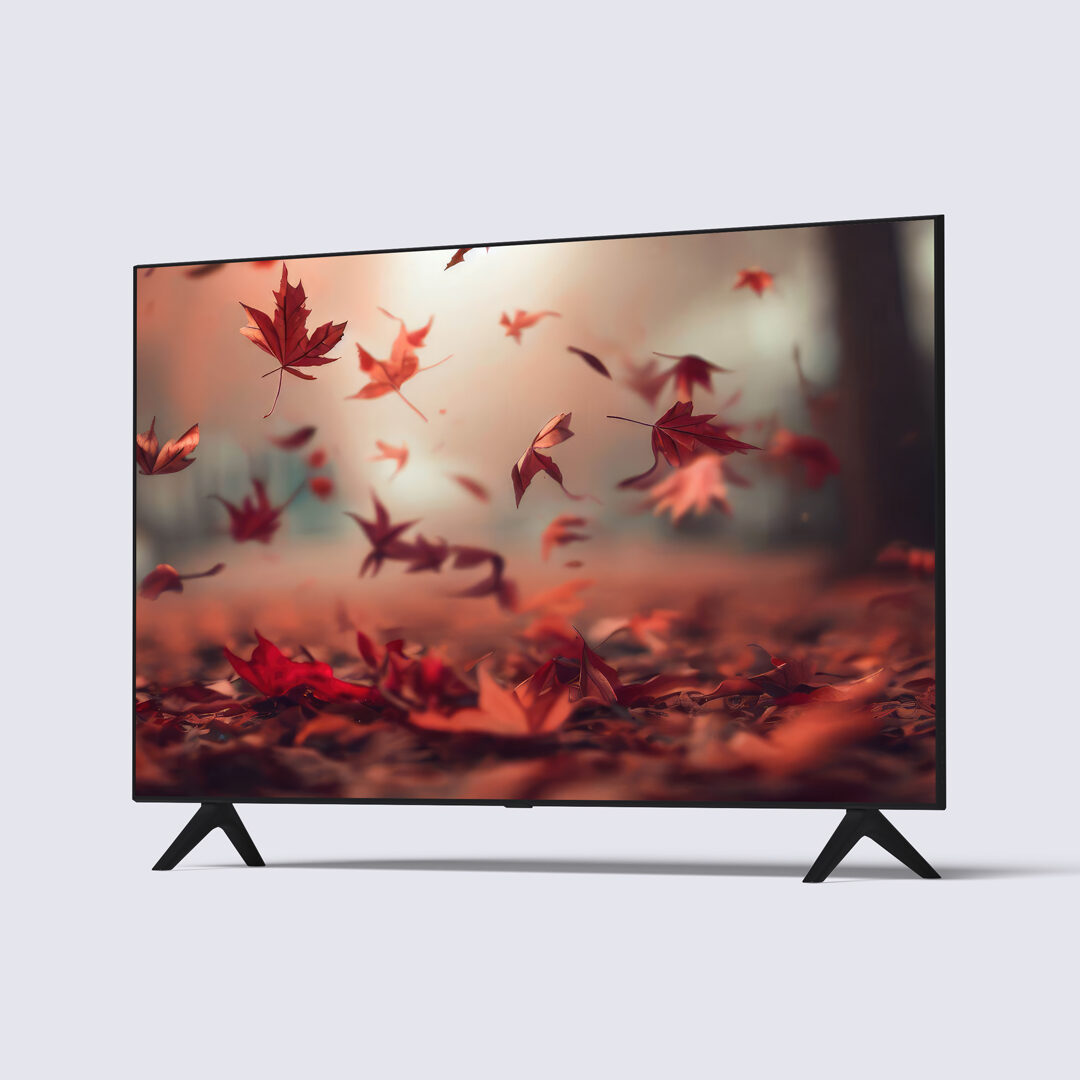 Nasco-32-Led Digital-Satellite-Tv-Nas-J32fbfl